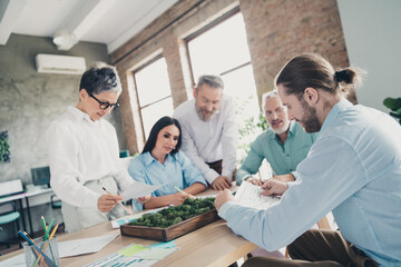 Photo of teamwork startup partners brainstorm discuss documents people comfortable nice creative startup office loft room interior
