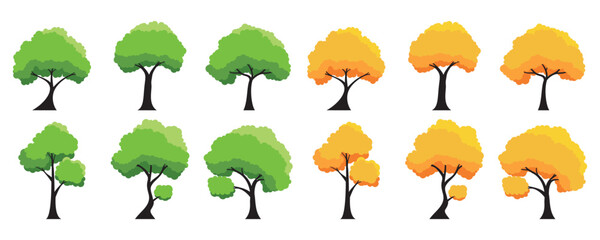 Collection of tree isolated on a white background. Each species of trees. Trees that change from green leaves to orange leaves. Nature or healthy lifestyle topics. Vector illustration flat design