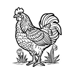Rooster illustration  coloring page - coloring book for kids