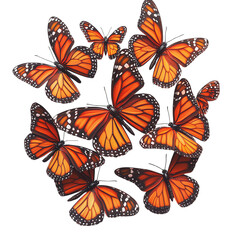 Obraz premium Group of butterflies illustration on transparent background