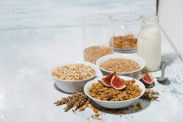 range of products made from oats for healthy food on white background