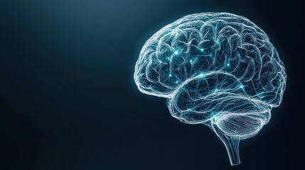 A brain with a lot of lights on it. The brain is shown in a black background. The brain is shown in a very detailed way