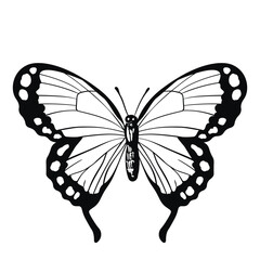 Funny black and white butterfly. Color flat vector of detailed butterflies. Cute characters. Card, postcards for kids. Silhouette icon