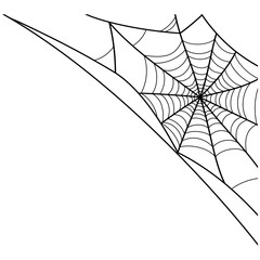 spider web at the corner illustration