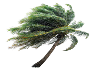 Tropical storm with rain and wind, isolated on white background, clip art style