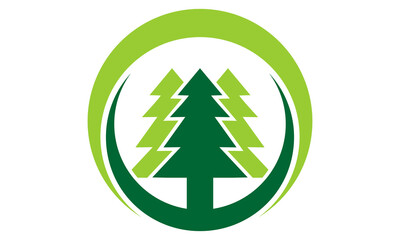 pine tree vector logo icon