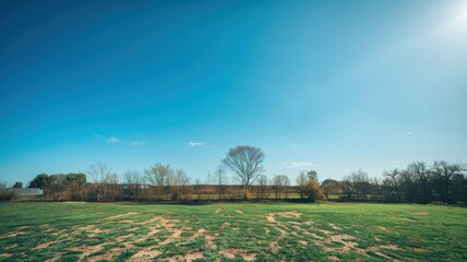 A photo of a clear blue sky with no clouds. The sky is bright and the sun is shining. The ground is covered with green grass and there are trees in the background. The grass is patchy