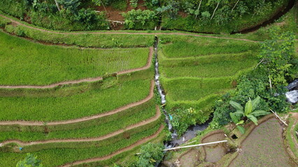 Aerial View Of Green Terracing Rice Fields