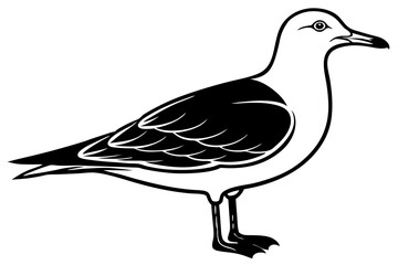 gull silhouette vector
