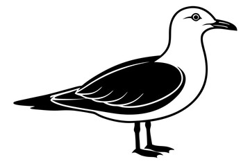 gull silhouette vector