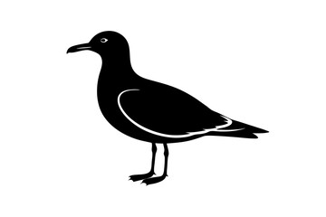 gull silhouette vector