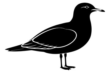 gull silhouette vector