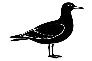 gull silhouette vector