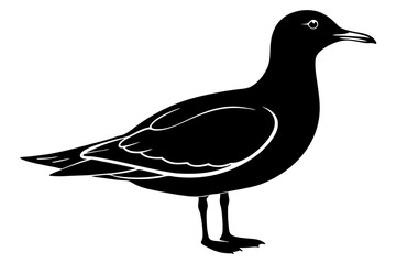 gull silhouette vector