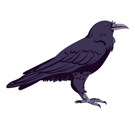 Black raven vector illustration. Cartoon style, flat design. Halloween, horror concept. Magic crow witch familiar, totem animal. Symbol of death and mysticism, guide to the afterlife.