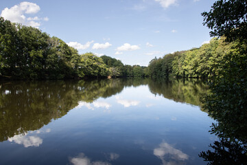Serene Reflections at Morimond Abbey Pond, Haute-Marne