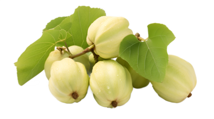 a group of green fruit with leaves

