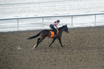 Young rider girl on bay horse galloping towards a hurdle on show jumping competition. Race horse...
