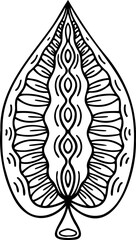 Abstract line art ornamental leaf decorative design element. Zentangle linear patterned, stylized tangle leaf. Boho hand drawn tribal illustration. 