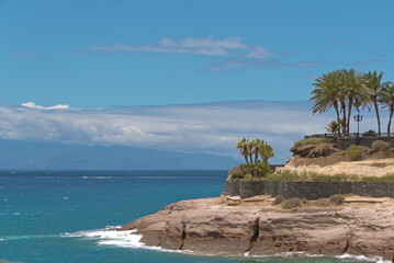 view of the sea coast with palms