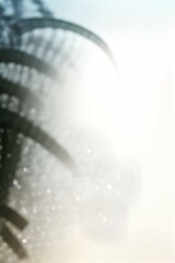 Colorful Bokeh and Blur Background Collection Soft Lights and Abstract Blur Backgrounds