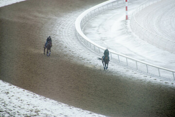Young rider girl on bay horse galloping towards a hurdle on show jumping competition. Race horse...