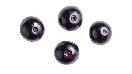 Fresh black currants on transparent background highlighting their natural texture