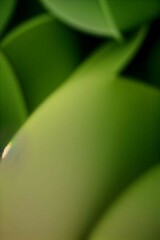 Colorful Bokeh and Blur Background Collection Soft Lights and Abstract Blur Backgrounds