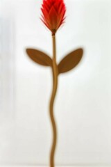 Colorful Bokeh and Blur Background Collection Soft Lights and Abstract Blur Backgrounds