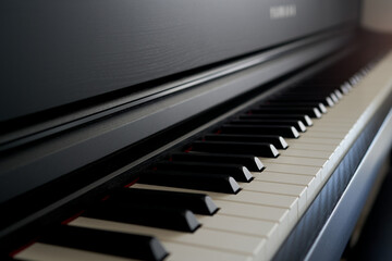 close-up of a piano keyboard fragment