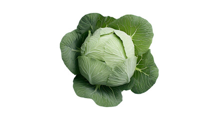 Fototapeta premium Fresh green cabbage isolated on transparent background