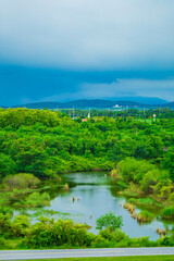 Fototapeta premium A serene landscape featuring a tranquil lake surrounded by lush green trees, with a gentle river flowing through the forest under a bright sky