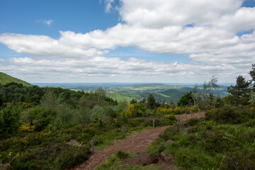 Obraz premium landscape with blue sky