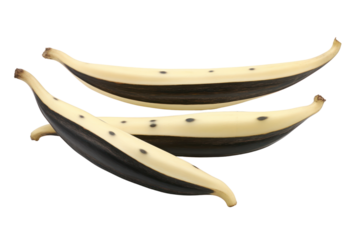 A 3D model of a vanilla bean pod split open, showing the tiny black seeds inside, placed on a clean, white background
