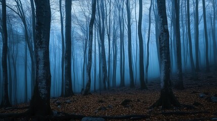 Obraz premium horror foggy mystery forest at night time, scary scene