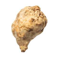 Raw celeriac root on transparent background: organic vegetable isolated close-up