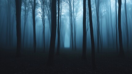 Naklejka premium horror foggy mystery forest at night time, scary scene