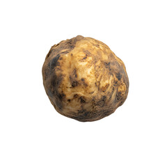 Fresh organic turnip with earthy texture on transparent background