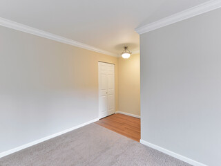 Modern residential living room and front entrance interior