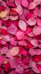 1. A vibrant pile of pink and red leaves scattered on the ground, showcasing the beauty of autumn foliage.