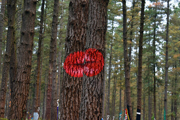 The Painted Forest of Oma in Urdaibai.