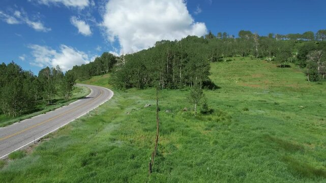 Aerial view of summer aspens along the roadside in the Nebo Loop National Scenic Byway in central Utah.