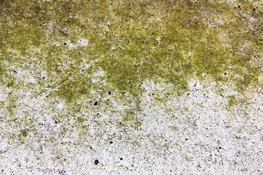 Piso de concreto cuarteado y con moho