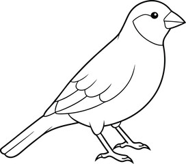 A Canary outline vector art illustration design with no background, canary black and white icon and logo for printable, drawing animal of canary bird.