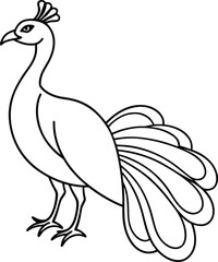 Peacock outline vector art smooth illustration, solid black and white peacock line art with no background design.