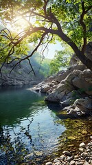 Fototapeta premium Tranquil Summer Creek with Rocks and Clear Water