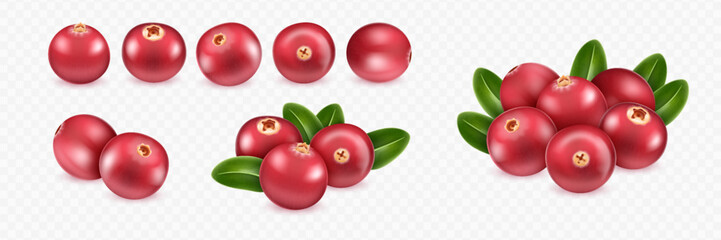 Realistic cranberry set with green leaves on transparent background. Various berry compositions for design mockup. 3D realistic vector illustration.