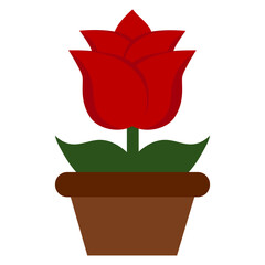 red flower in a pot