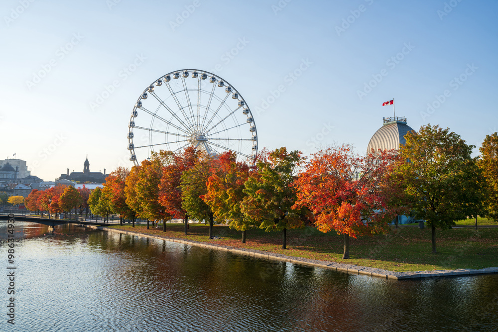 Wall mural Old Port of Montreal in autumn. Red maples and old Montreal skyline reflected on St. Lawrence River. Fall foliage season in Montreal, Quebec, Canada. La Grande roue de Montreal Ferris wheel.