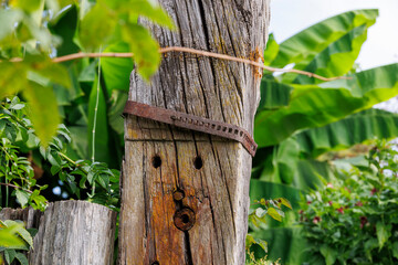 Holes in an old wooden post are arranged like a face